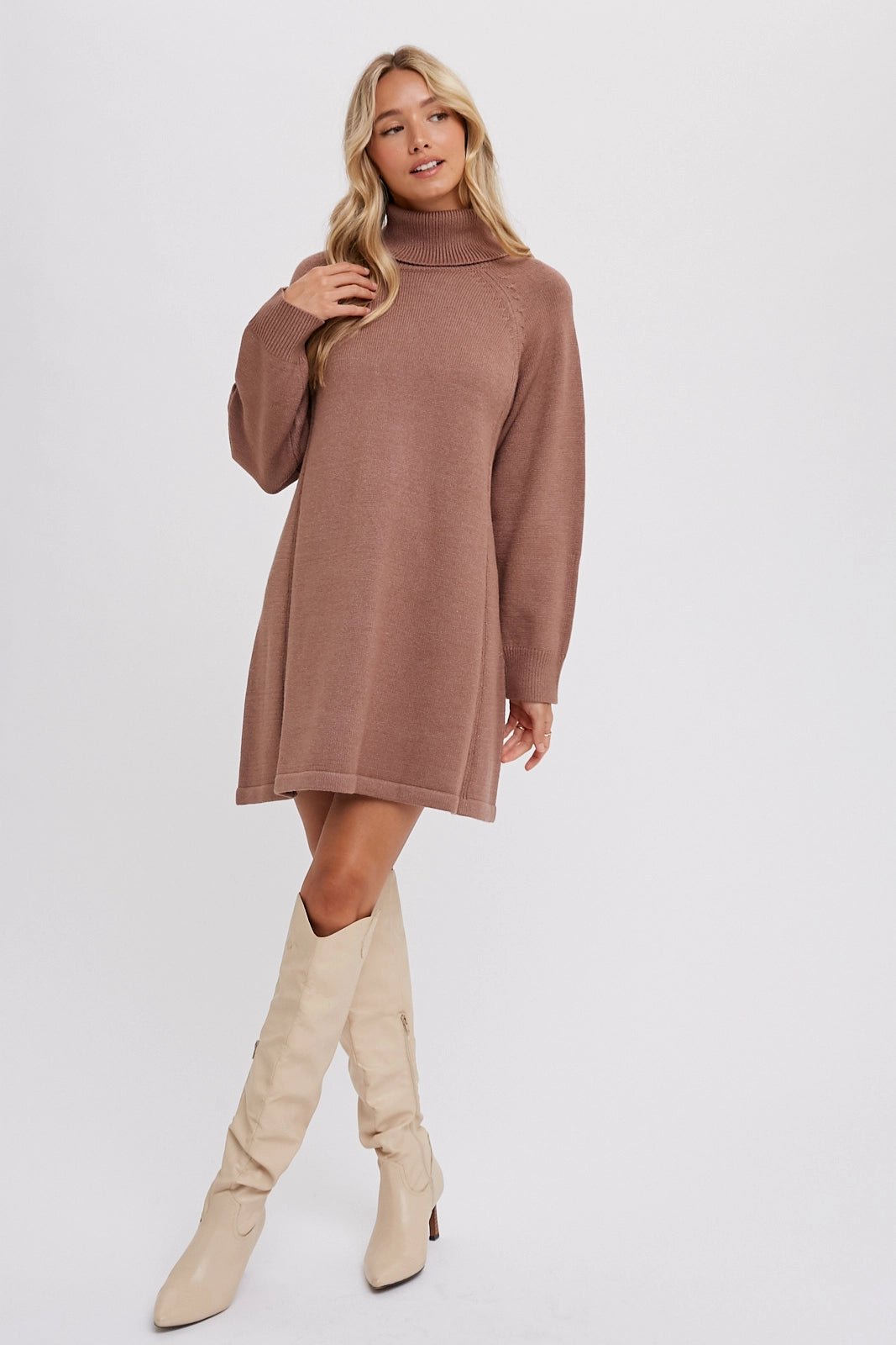Bluivy Turtleneck Sweater Dress
