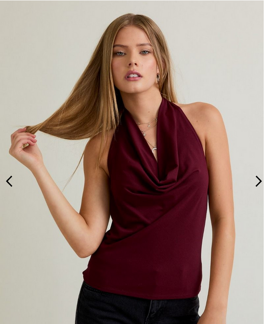 Lelis Cowl Neck Ruched Halter Top